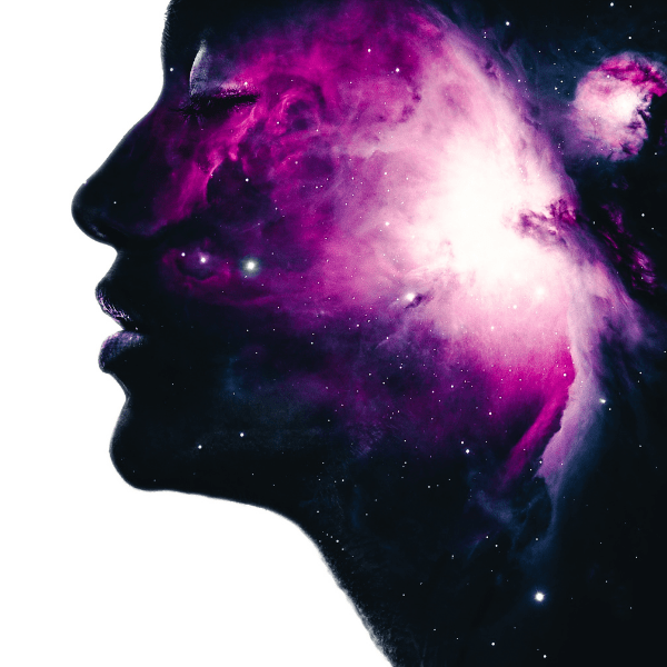 6 ley universal polaridad