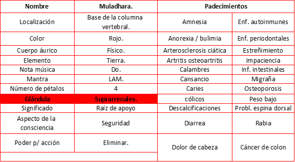 CHAKRA BÁSICO O BASE