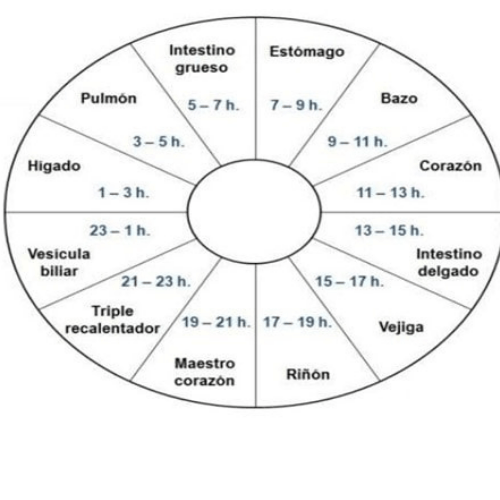 horario de los meridianos