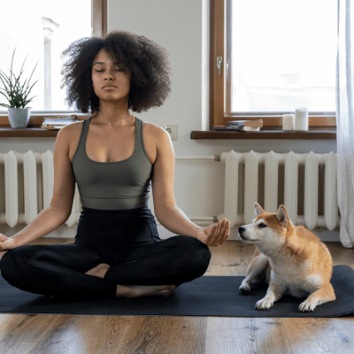 meditar-perros-gatos meditar