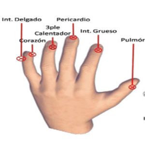 meridiano de mano