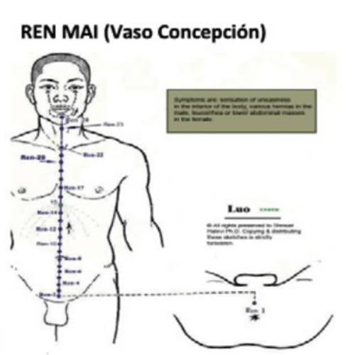 vaso concepción