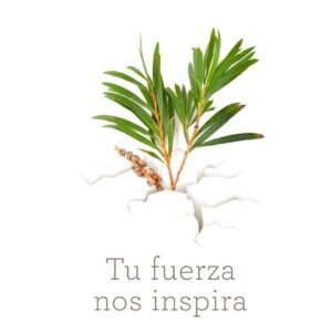 just terapia holistica