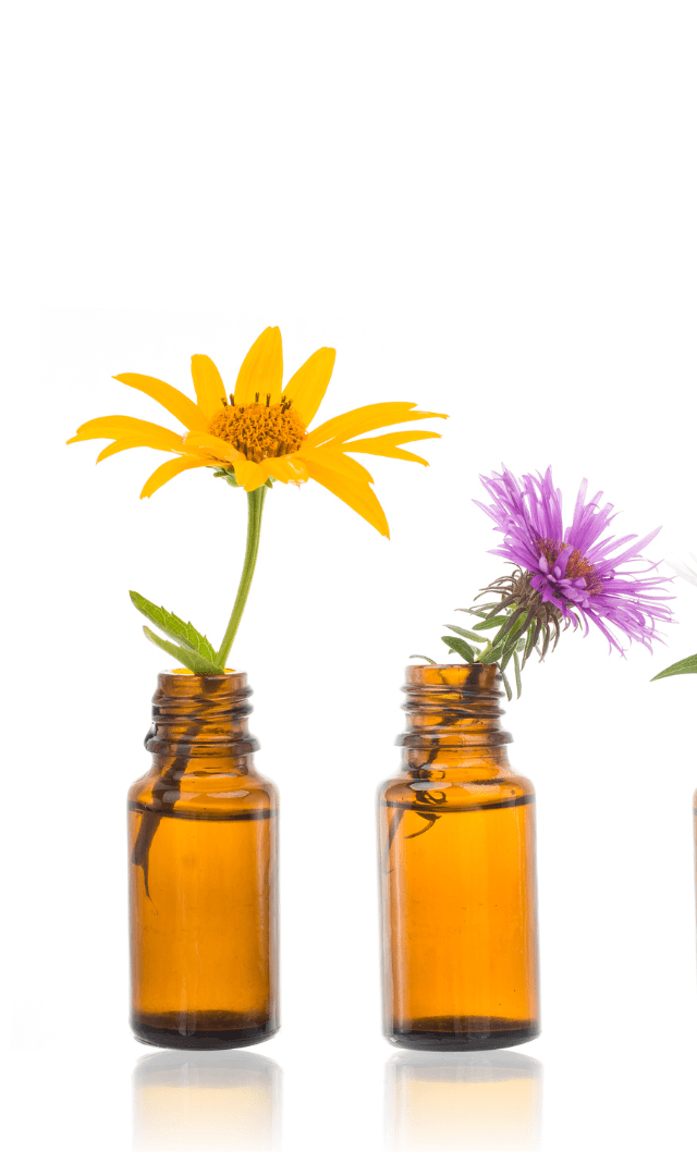 homeopatía-y-frecuencias-curso