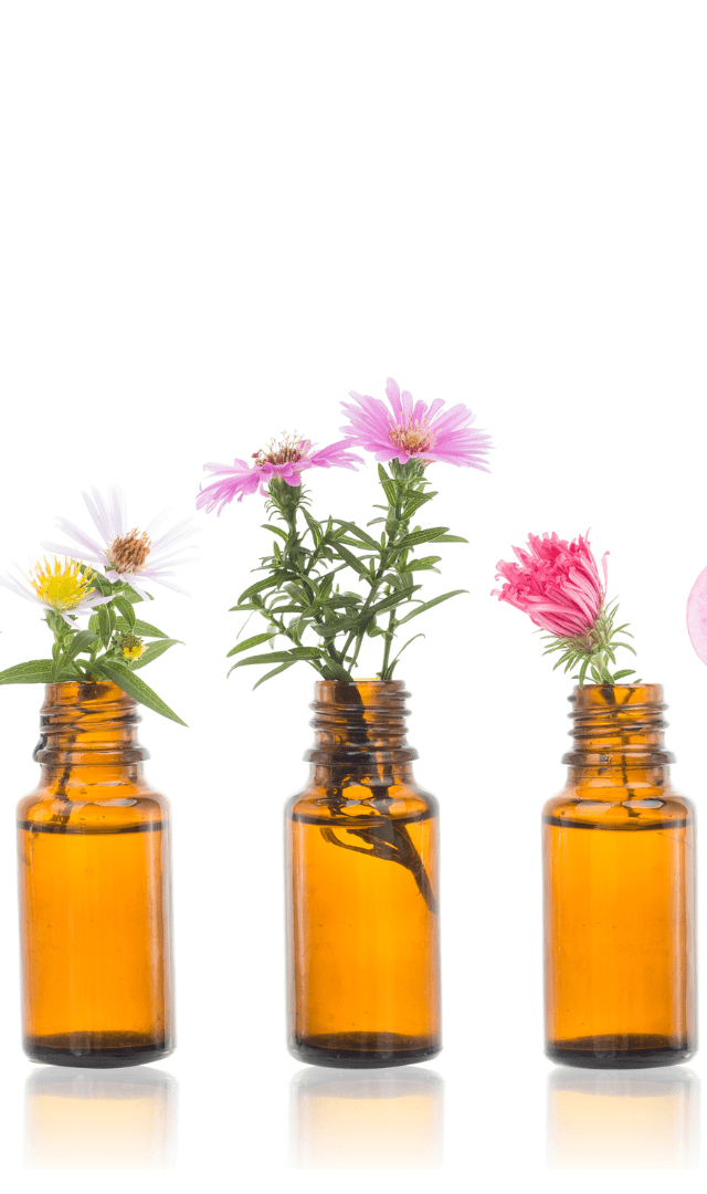 curso homeopatía-y-frecuencias-