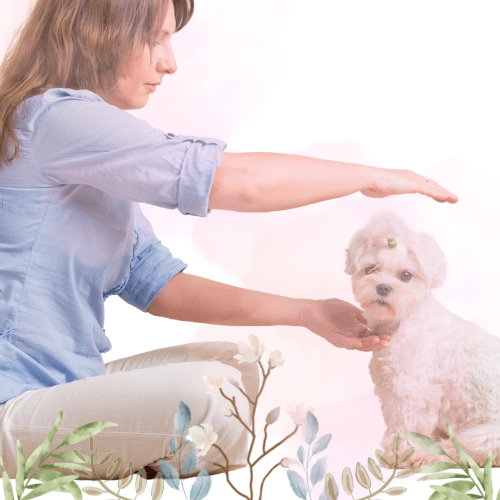 curso de reiki dai ko mio curso de reiki dai ko mio